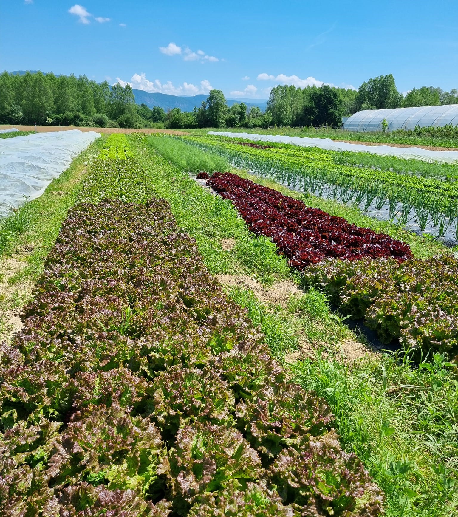 La Ferme du Clos Doré