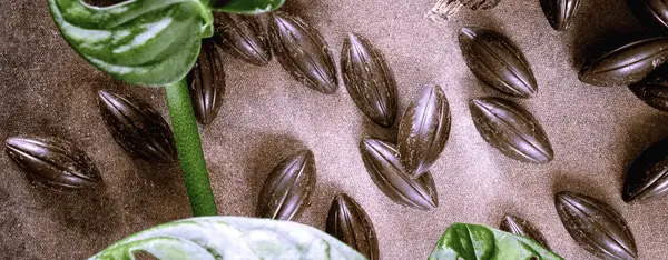 Le chocolat va-t-il devenir un luxe ? Le chocolat va-t-il devenir un luxe ?